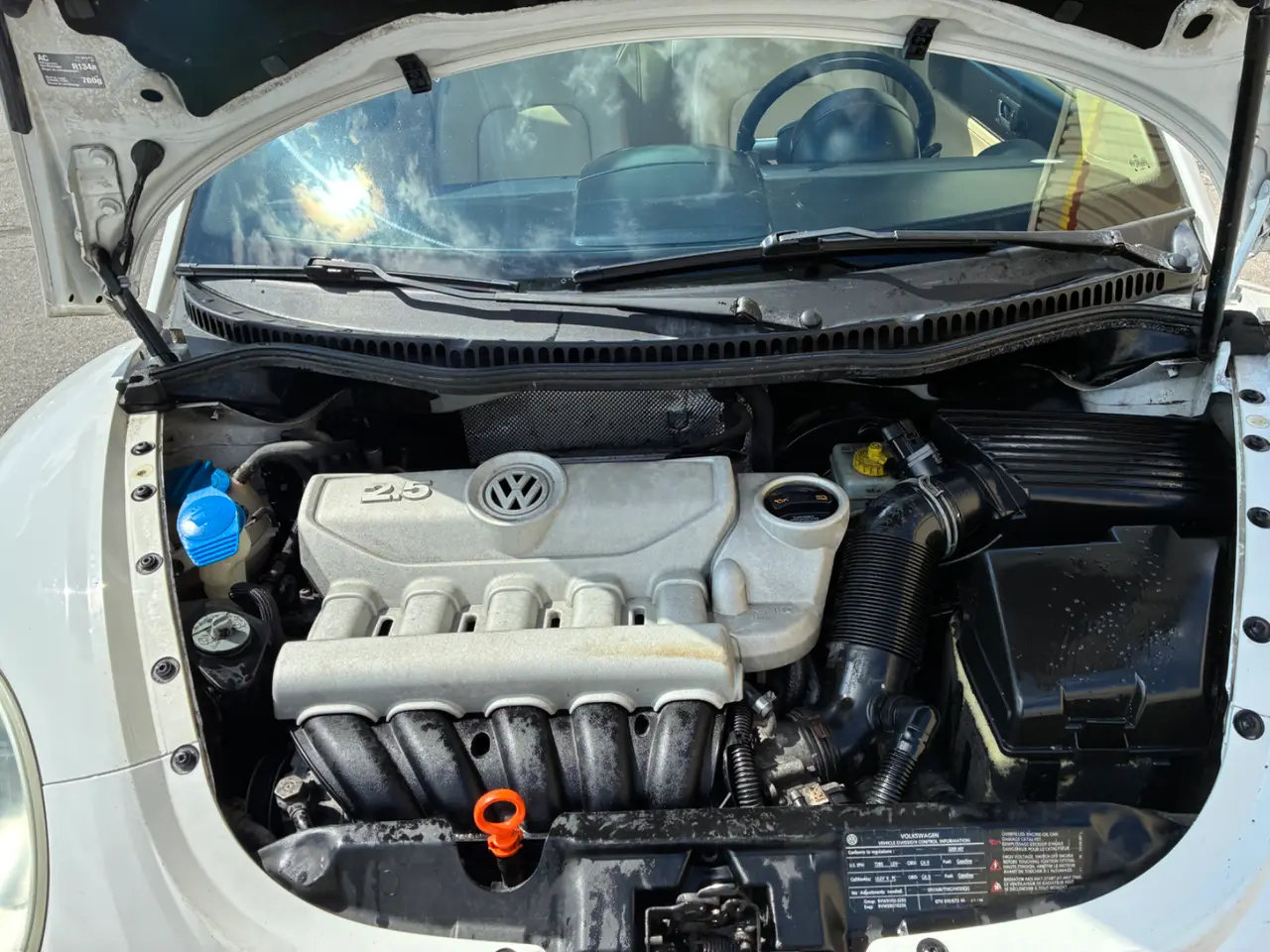 Volkswagen  Beetle  thumbnail 6